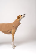 Load image into Gallery viewer, Natürlicher Farbton mit Struktur – Whippet im Teddy-Fleece in Camel
