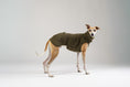 Load image into Gallery viewer, Whippet im flauschigen Sherpa Long Shirt – handgefertigte Windhundbekleidung aus Berlin
