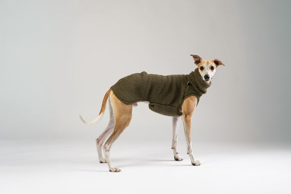 Whippet im flauschigen Sherpa Long Shirt – handgefertigte Windhundbekleidung aus Berlin
