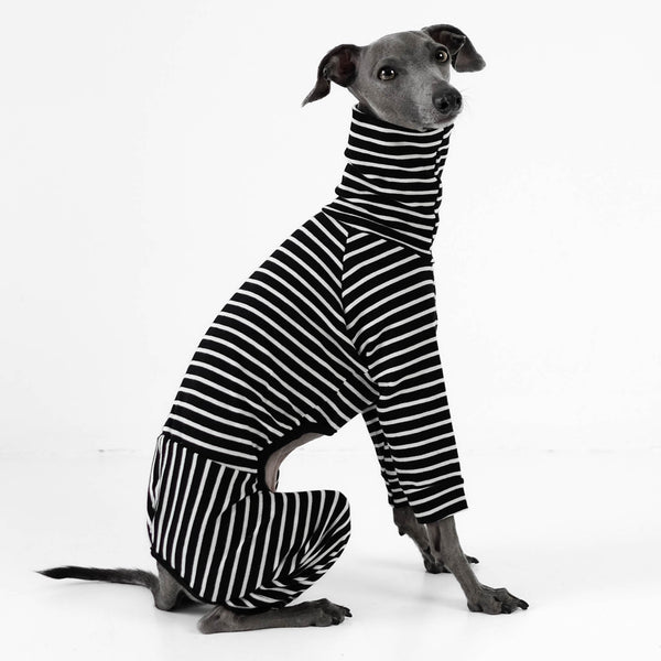 Italian Greyhound stripes Overall
