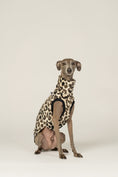 Load image into Gallery viewer, Italienisches Windspiel trägt gemütliches Fleece-Long Shirt im Leoparden-Look
