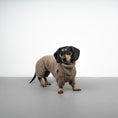 Load image into Gallery viewer, WINTER OVERALL 2.0 Dackel Taupe
