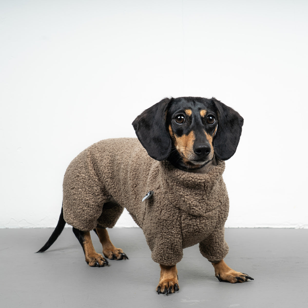 WINTER OVERALL 2.0 Dackel Taupe