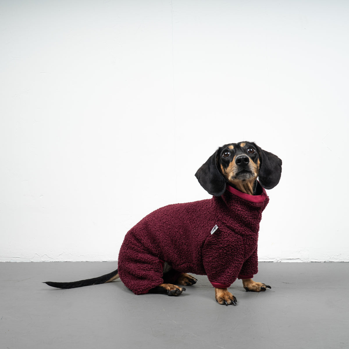 WINTER OVERALL 2.0 Dackel Weinrot