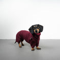 Load image into Gallery viewer, WINTER OVERALL 2.0 Dackel Weinrot
