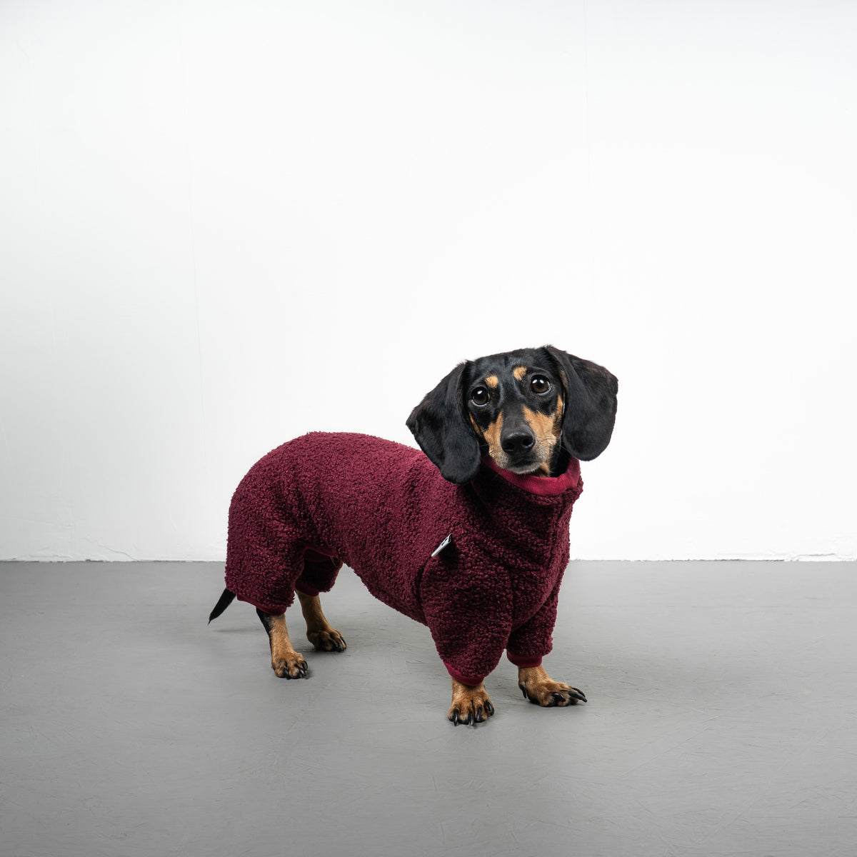 WINTER OVERALL 2.0 Dackel Weinrot