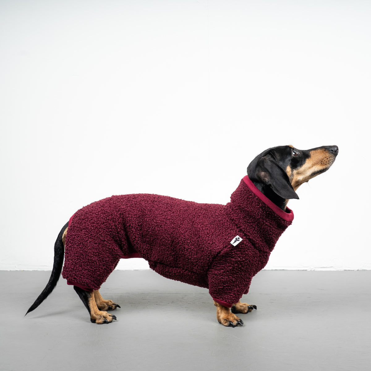 WINTER OVERALL 2.0 Dackel Weinrot
