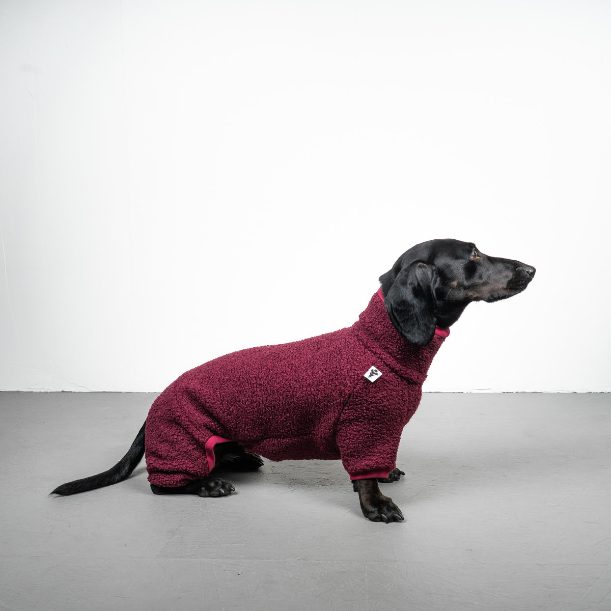 WINTER OVERALL 2.0 Dackel Weinrot