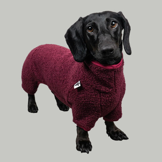 WINTER OVERALL 2.0 Dackel Weinrot