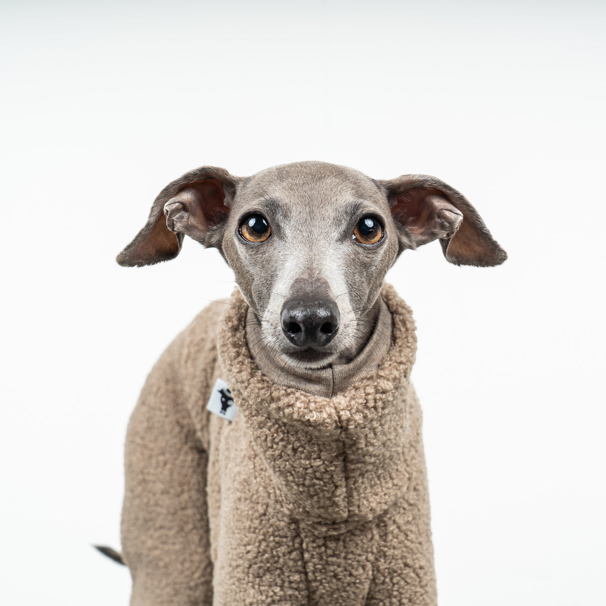 WINTER OVERALL 2.0 Iggy Taupe