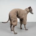 Load image into Gallery viewer, WINTER OVERALL 2.0 Iggy Taupe

