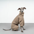 Load image into Gallery viewer, WINTER OVERALL 2.0 Iggy Taupe

