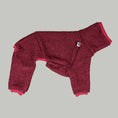 Load image into Gallery viewer, WINTER OVERALL 2.0 Iggy Weinrot
