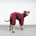 Load image into Gallery viewer, WINTER OVERALL 2.0 Iggy Weinrot
