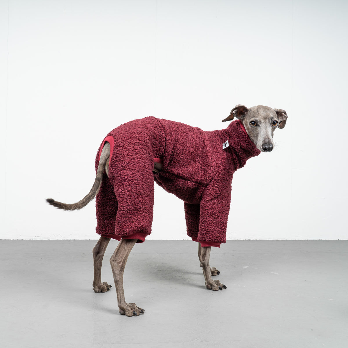 WINTER OVERALL 2.0 Iggy Weinrot