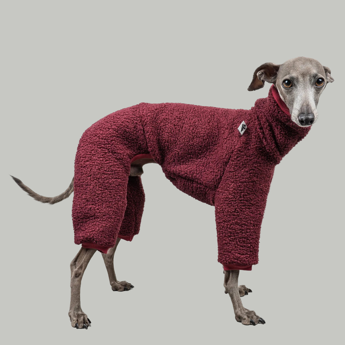 WINTER OVERALL 2.0 Iggy Weinrot