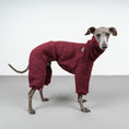 Load image into Gallery viewer, WINTER OVERALL 2.0 Iggy Weinrot
