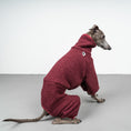 Load image into Gallery viewer, WINTER OVERALL 2.0 Iggy Weinrot
