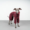 Load image into Gallery viewer, WINTER OVERALL 2.0 Iggy Weinrot
