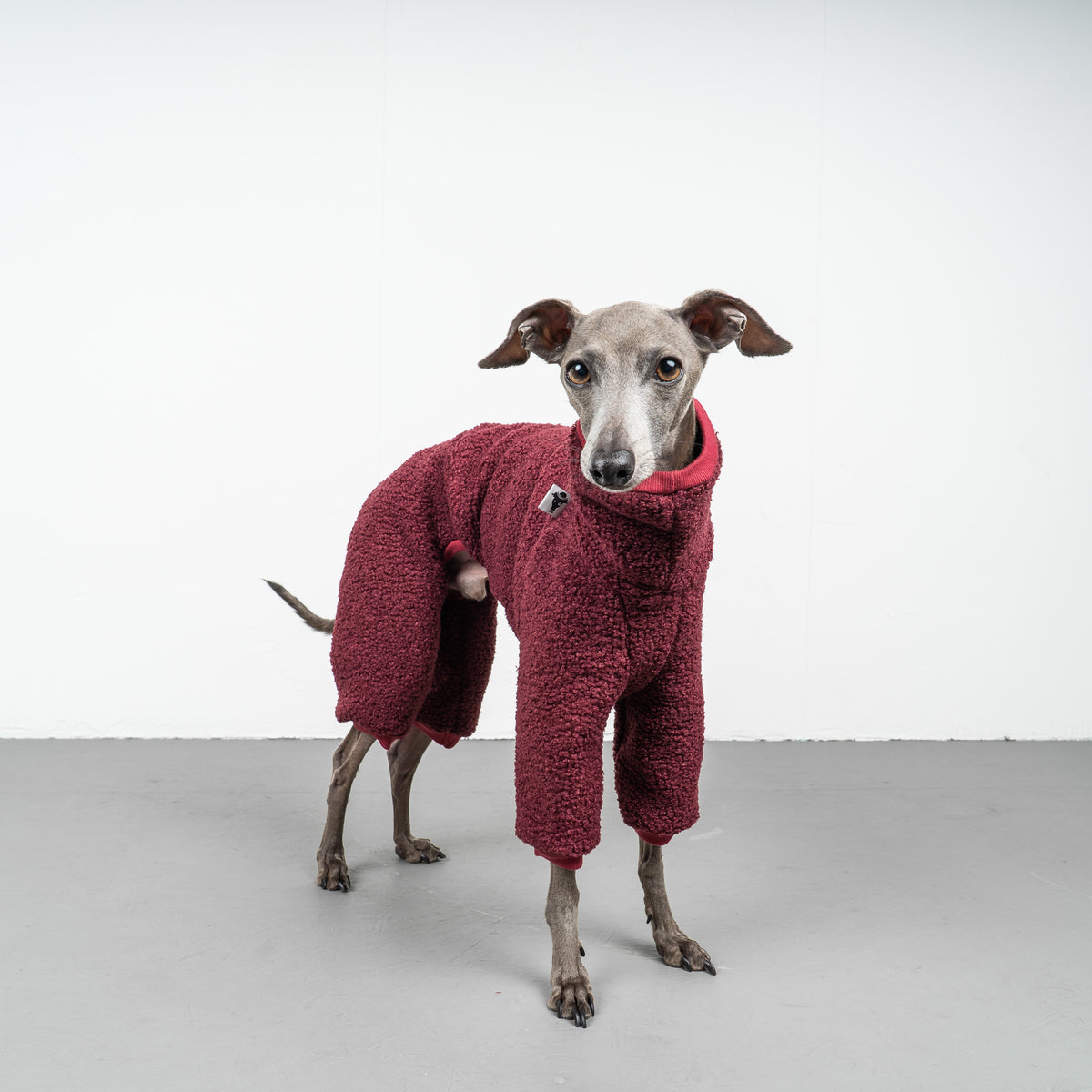 WINTER OVERALL 2.0 Iggy Weinrot