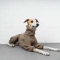 Load image into Gallery viewer, WINTER OVERALL 2.0 Windhund Taupe
