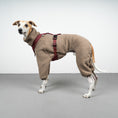 Load image into Gallery viewer, WINTER OVERALL 2.0 Windhund Taupe
