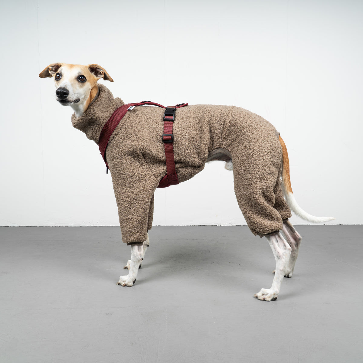 WINTER OVERALL 2.0 Windhund Taupe