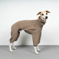Load image into Gallery viewer, WINTER OVERALL 2.0 Windhund Taupe
