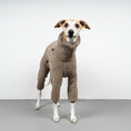 Load image into Gallery viewer, WINTER OVERALL 2.0 Windhund Taupe
