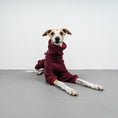 Load image into Gallery viewer, WINTER OVERALL 2.0 Windhund Weinrot
