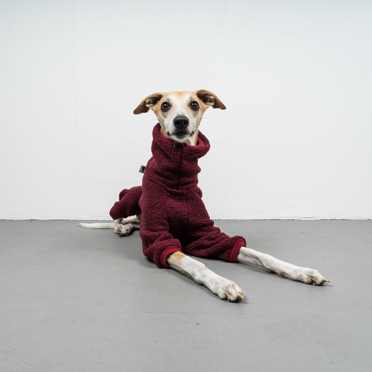 WINTER OVERALL 2.0 Windhund Weinrot