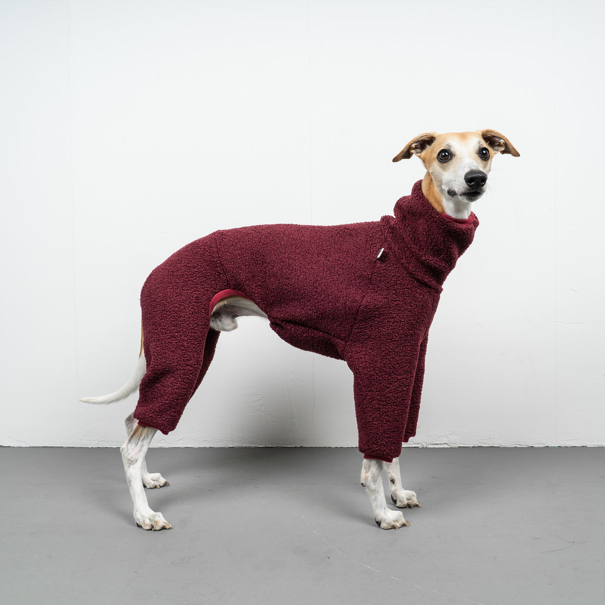 WINTER OVERALL 2.0 Windhund Weinrot