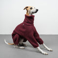 Load image into Gallery viewer, WINTER OVERALL 2.0 Windhund Weinrot
