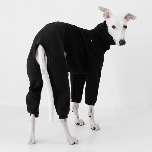 Cotton Collection Black jumpsuit for whippets 