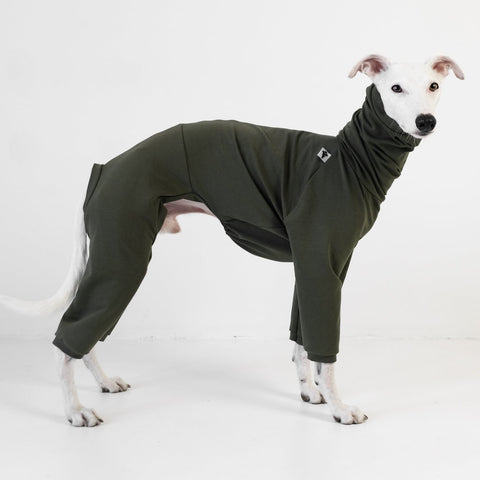 Cotton Collection Khaki jumpsuit for whippets 
