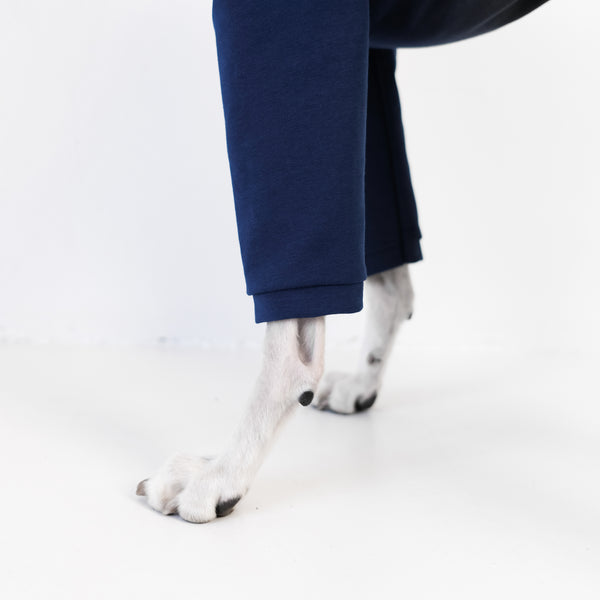 Cotton Collection Navy jumpsuit for whippets 