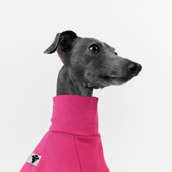 Cotton Collection Magenta sweater for italian greyhounds