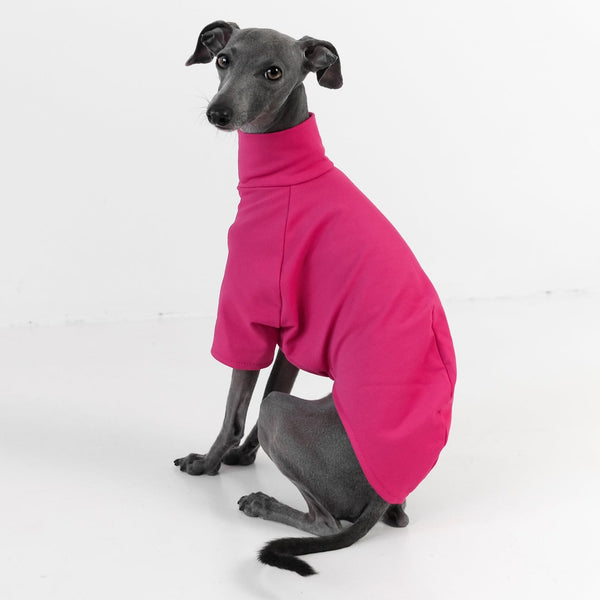 Cotton Collection Magenta sweater for italian greyhounds