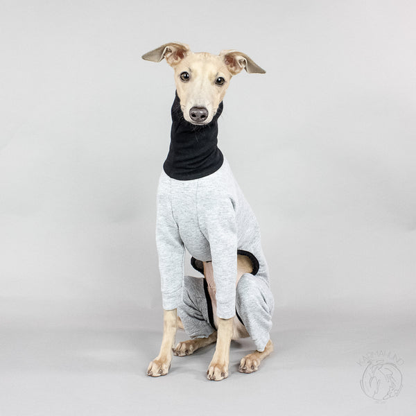 Cute Italian Greyhound Overall Dog Clothing