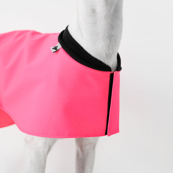 Easy On Everyday Coat for Whippets Neon Pink 