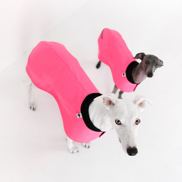 Easy On Everyday Coat for Whippets Neon Pink 