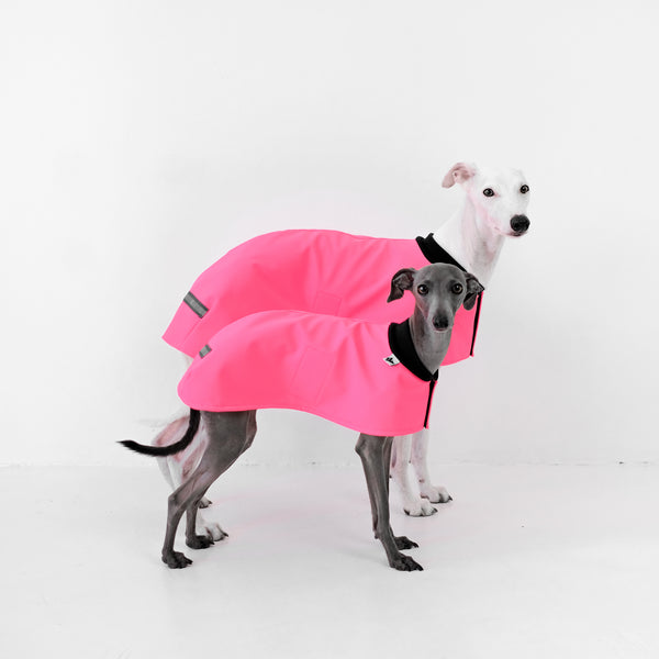 Easy On Everyday Coat for Italian Greyhounds Neon Pink 