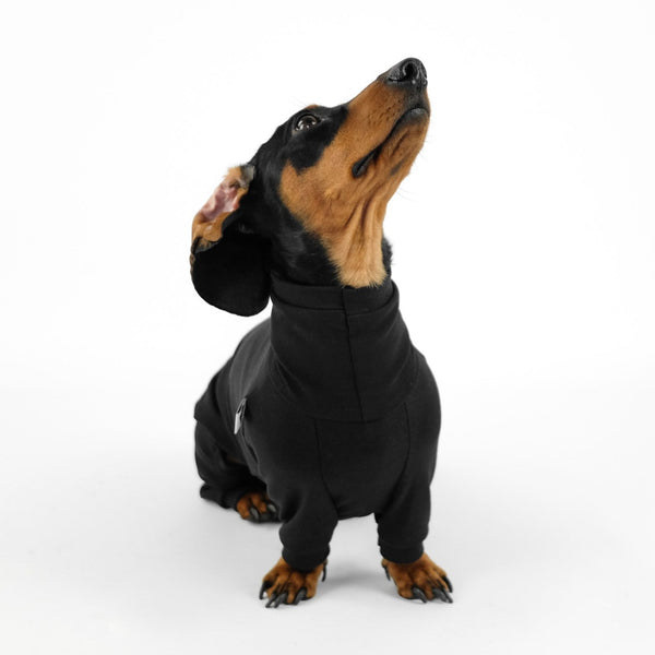 Cotton Collection Black Overall for Dachshunds 