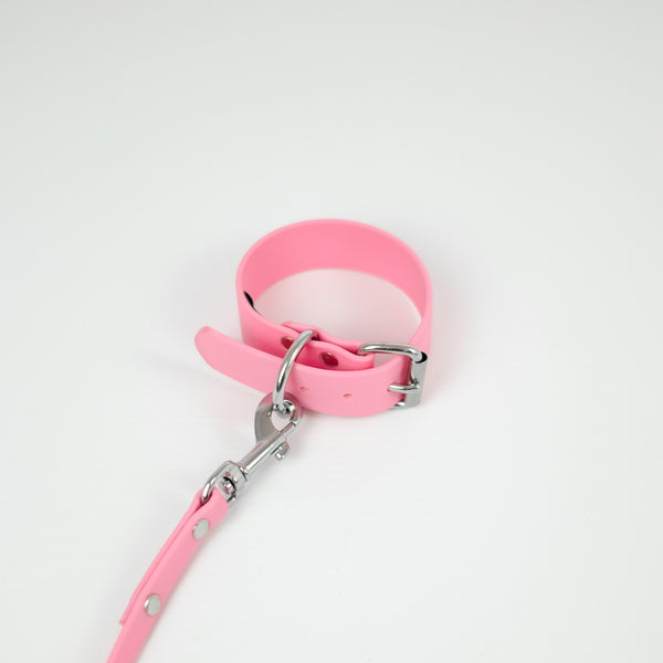 BioThane® Dog Collar Pastel Pink