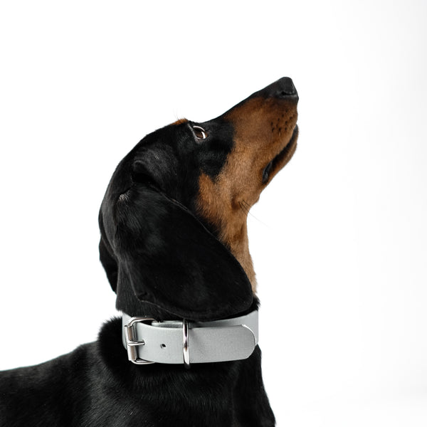 BioThane® Dog Collar Silver