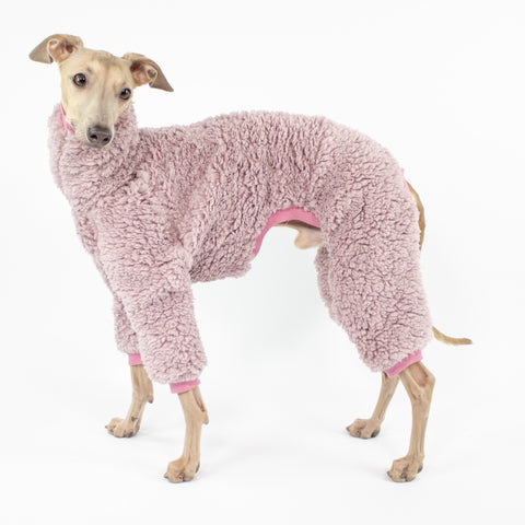 Teddy Overall Hund