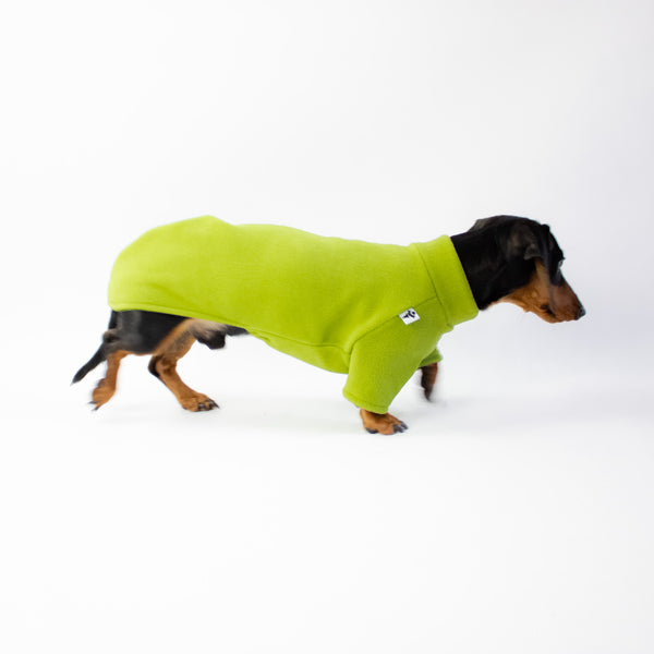 Polar Fleece Sweater for Dachshunds Light Green 