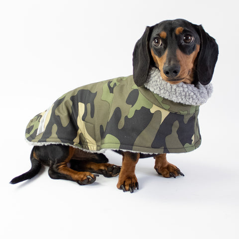 Winter coat for dachshund olive camouflage 