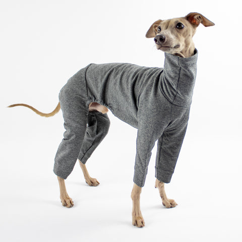 Italian Greyhound Pyjama