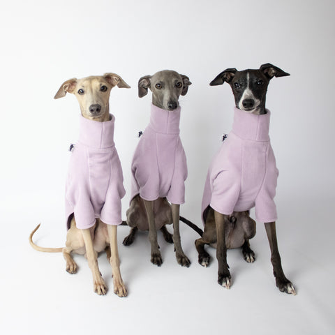 Micro Fleece Sweater for italian greyhounds Vol. 2 Lilac 